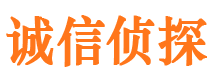 阿里市私家侦探